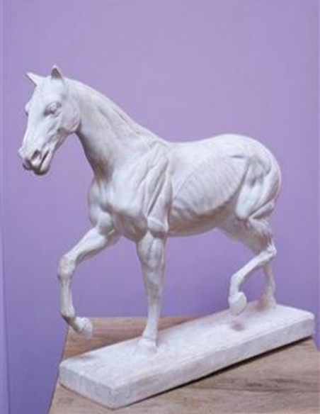 2022-Sculpture en plâtre cheval écorché par Leduc Marcel