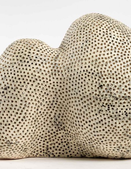 2197-Sculpture céramique "crâne" par Daphné Corregan - céramique contemporaine