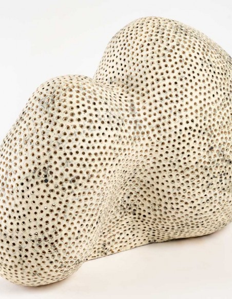 2198-Sculpture céramique "crâne" par Daphné Corregan - céramique contemporaine