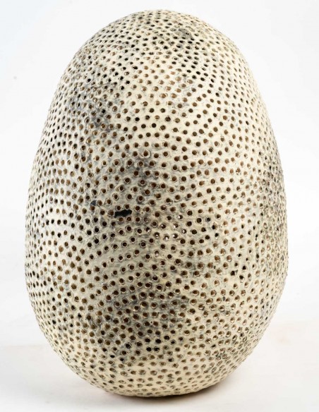 2201-Sculpture céramique "crâne" par Daphné Corregan - céramique contemporaine